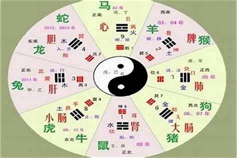 言字五行|言的五行属性是什么